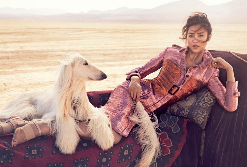 liu-wen-04