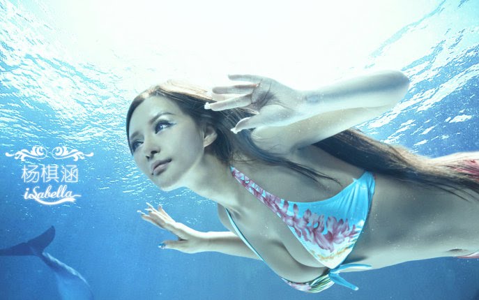 yang_qi_han-18