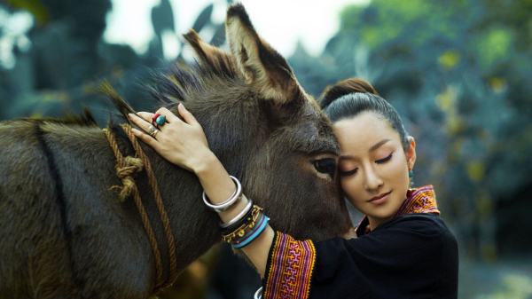 Sa Dingding (19)